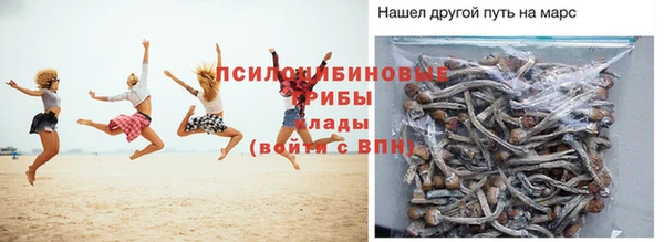 МДМА Алексеевка