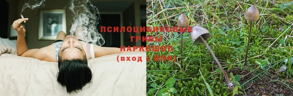 МДМА Алексеевка